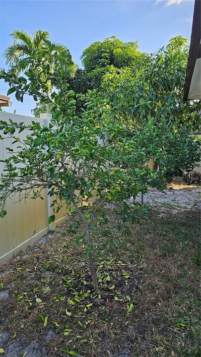 For Rent: $4,100 (4 beds, 2 baths, 1953 Square Feet)