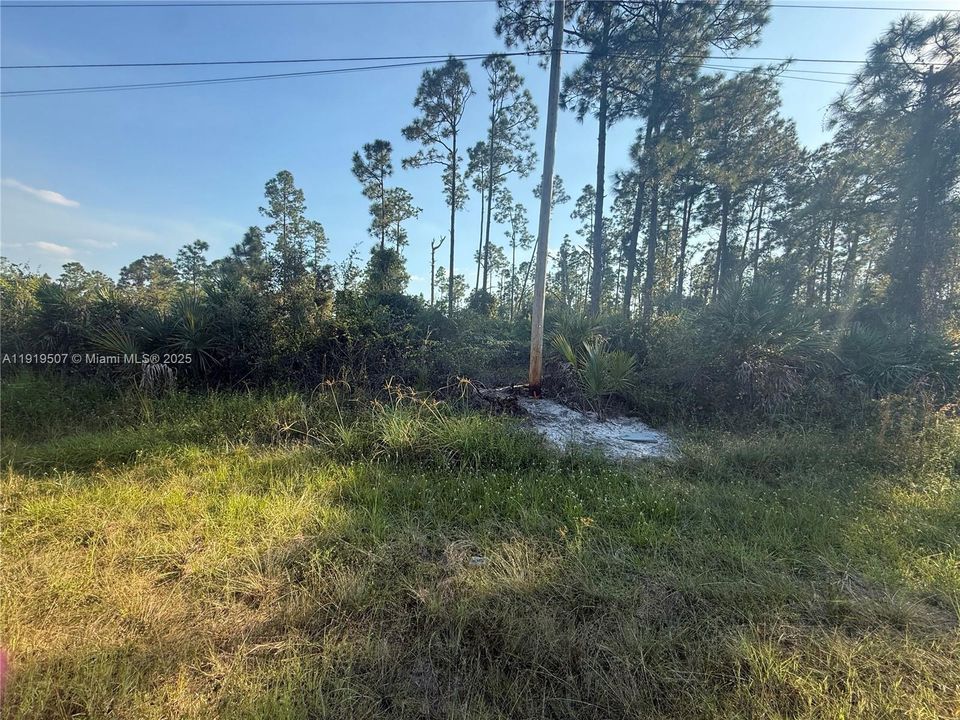 For Sale: $85,000 (0.29 acres)