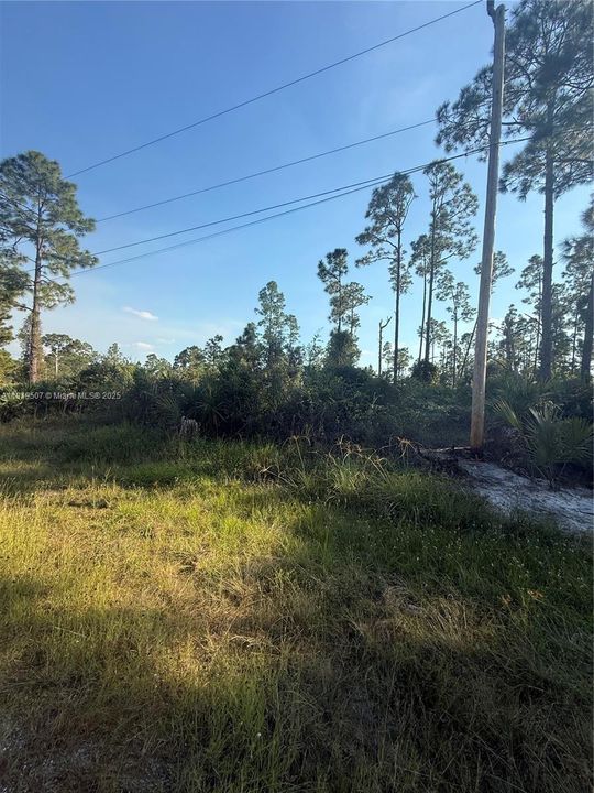 For Sale: $85,000 (0.29 acres)