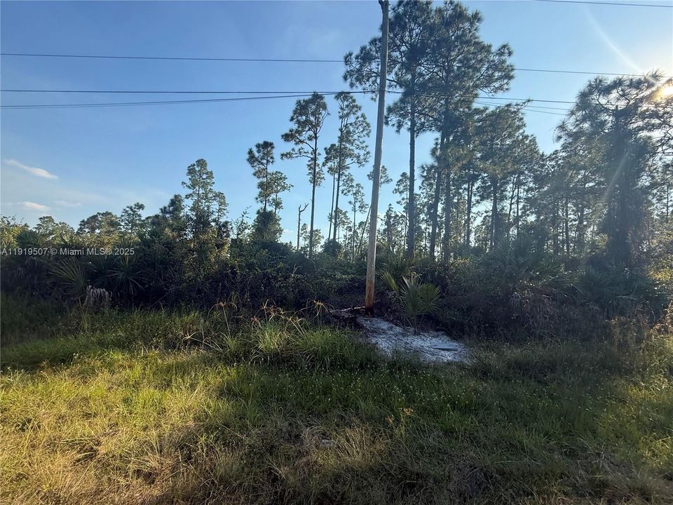 For Sale: $85,000 (0.29 acres)