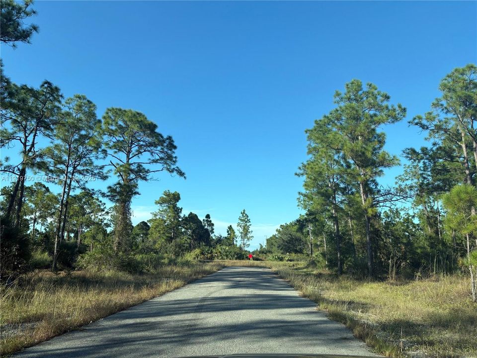 待售: $34,000 (0 贝兹, 0 浴室, 0 平方英尺)