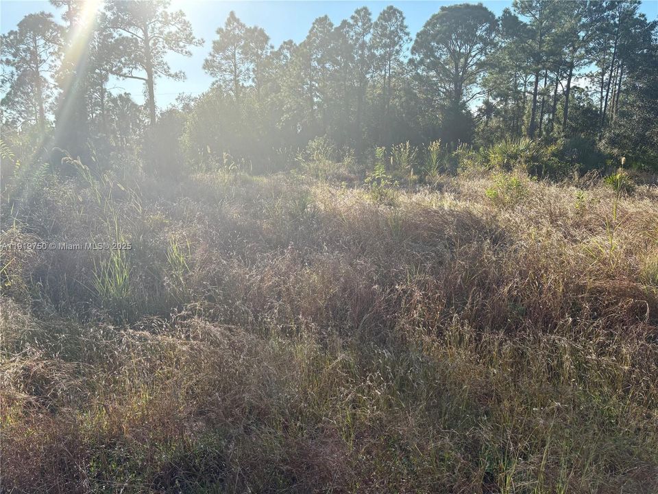 待售: $34,000 (0 贝兹, 0 浴室, 0 平方英尺)