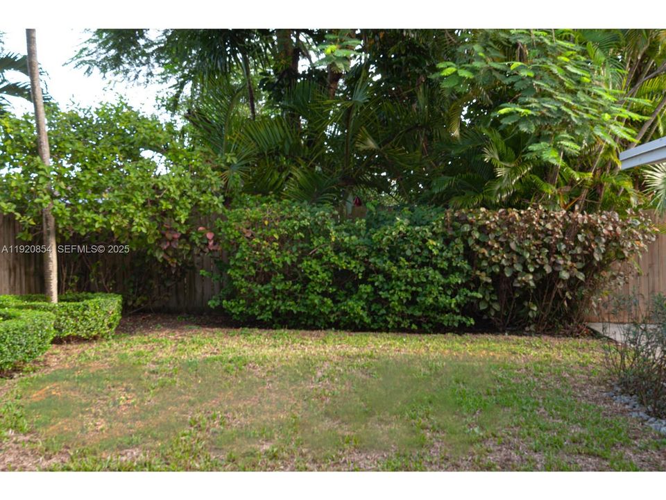 South view of the yard.