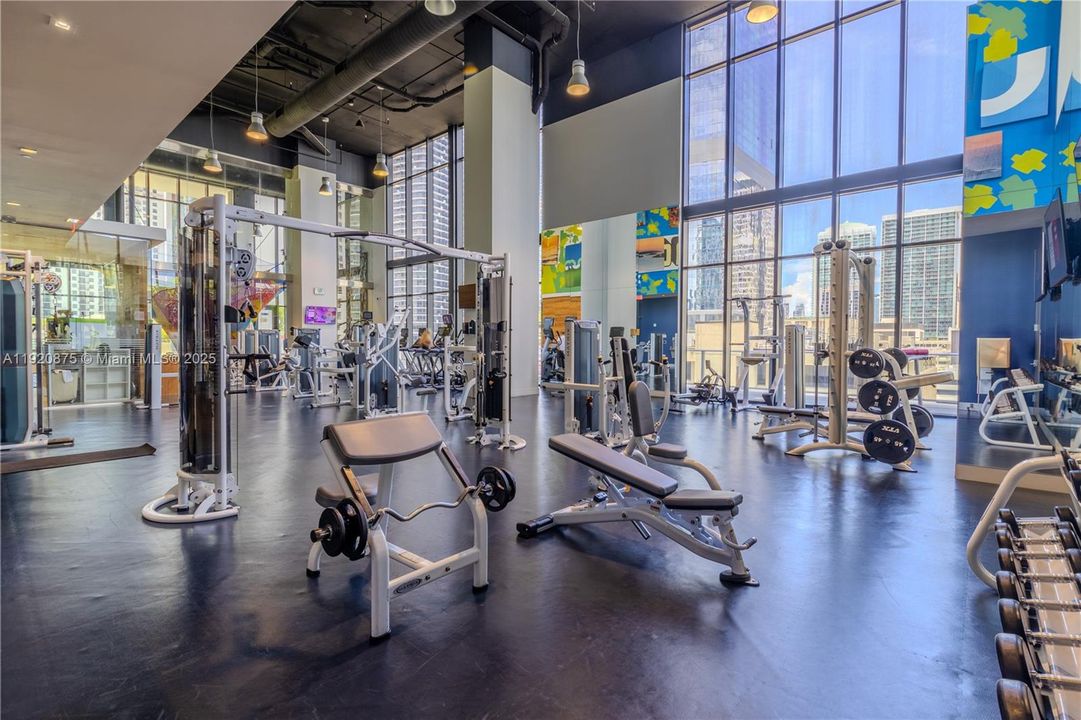 合同活跃: $4,100 (1 贝兹, 1 浴室, 651 平方英尺)