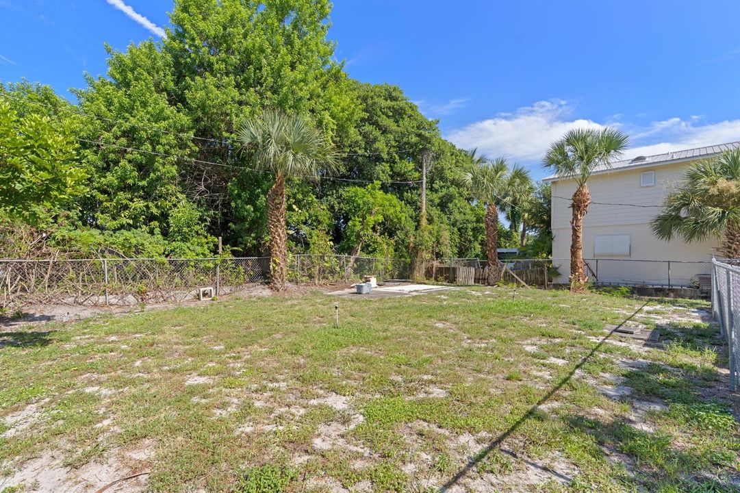 Backyard