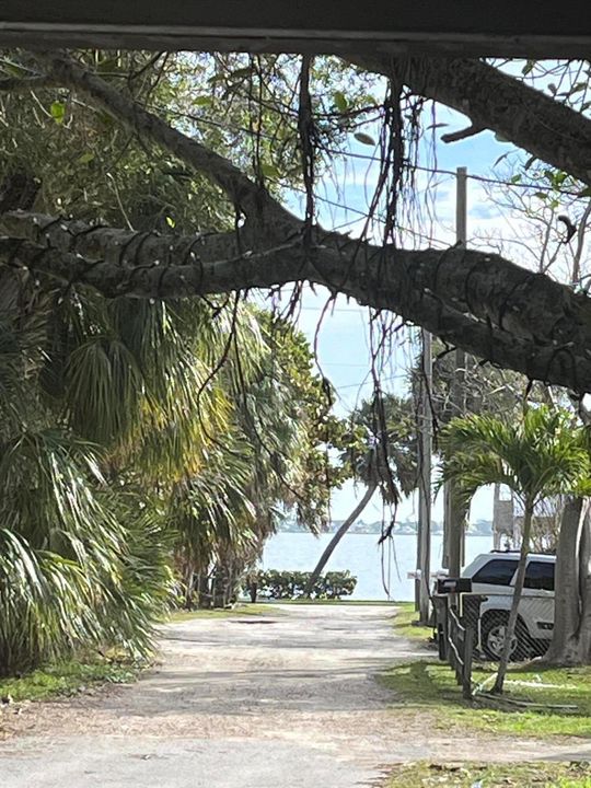 Poinciana View