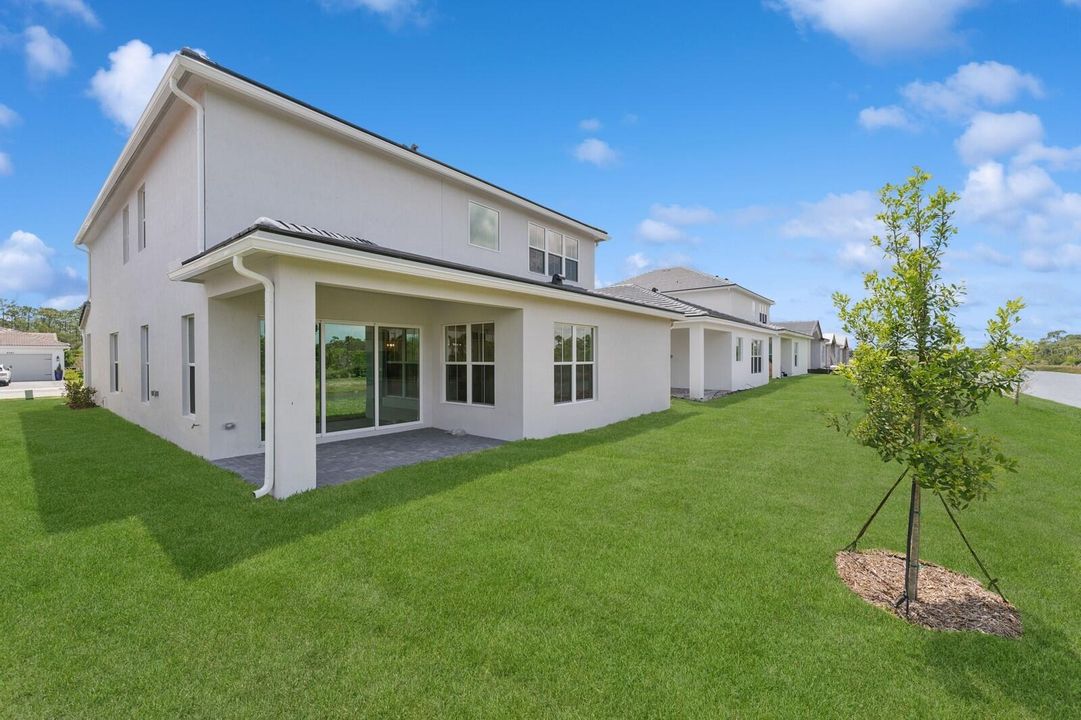 Covered Patio and Backyard