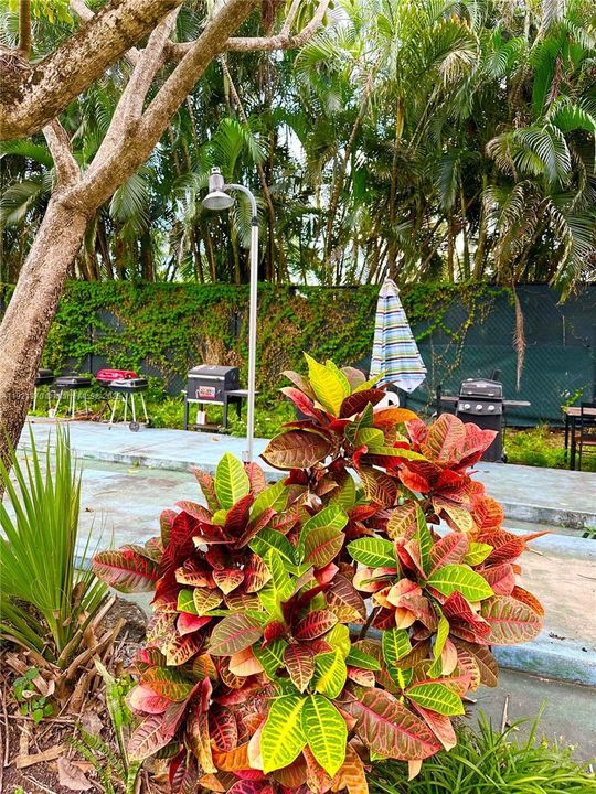 For Rent: $1,799 (1 beds, 1 baths, 640 Square Feet)