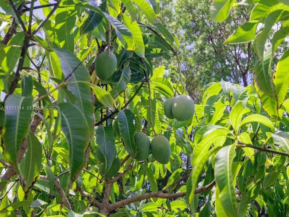 На продажу: $718,000 (2 спален, 1 ванн, 1497 Квадратных фут)