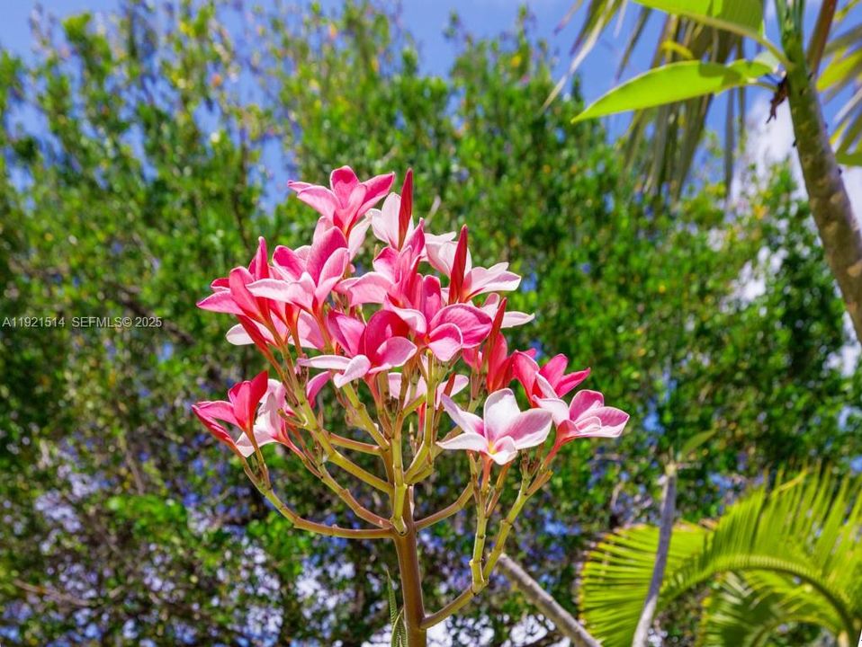 На продажу: $718,000 (2 спален, 1 ванн, 1497 Квадратных фут)