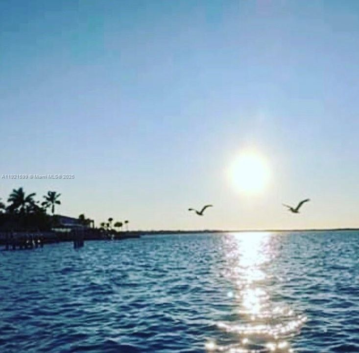 For Sale: $220,000 (1 beds, 0 baths, 689 Square Feet)