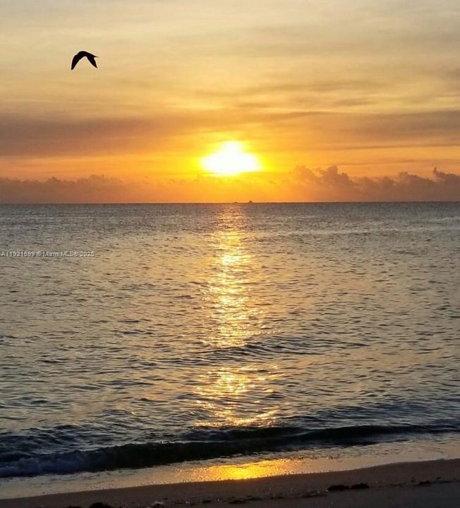 For Sale: $220,000 (1 beds, 0 baths, 689 Square Feet)