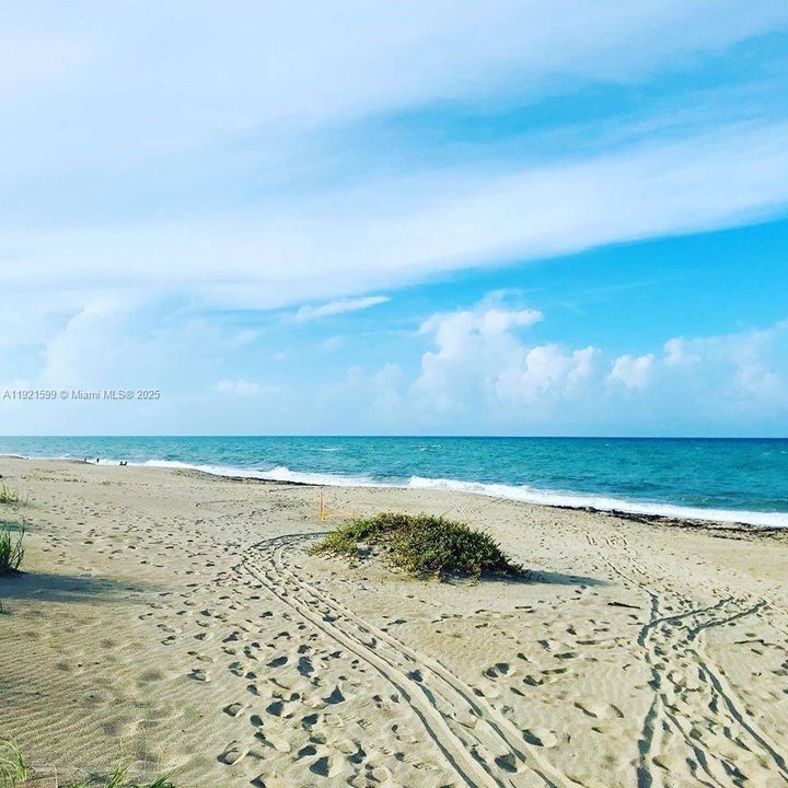 For Sale: $220,000 (1 beds, 0 baths, 689 Square Feet)