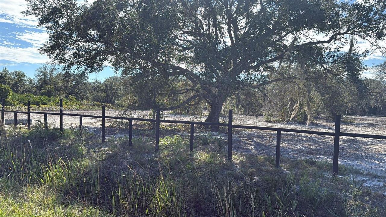 For Sale: $48,999 (1.25 acres)