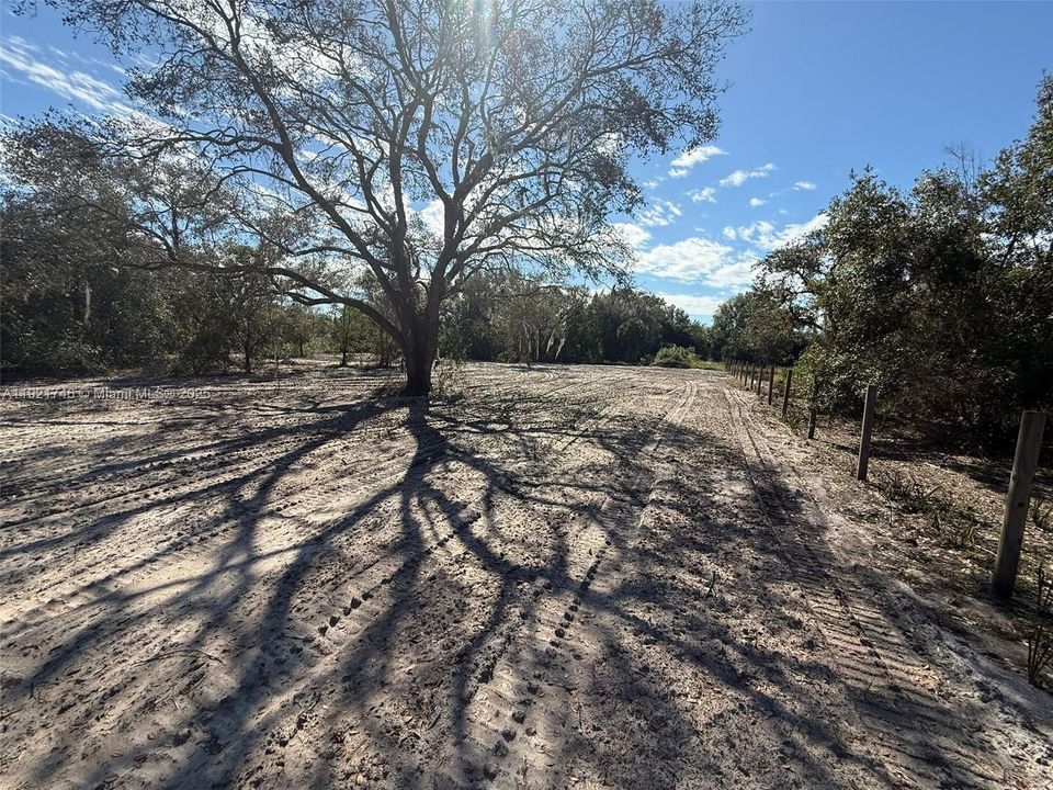 For Sale: $48,999 (1.25 acres)