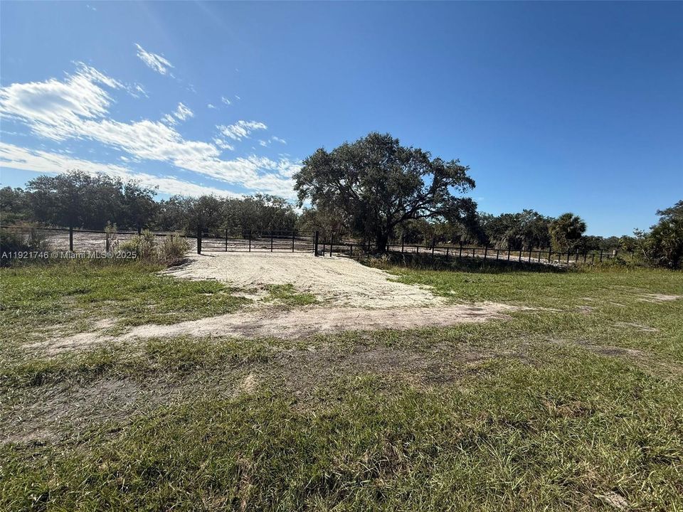 For Sale: $48,999 (1.25 acres)