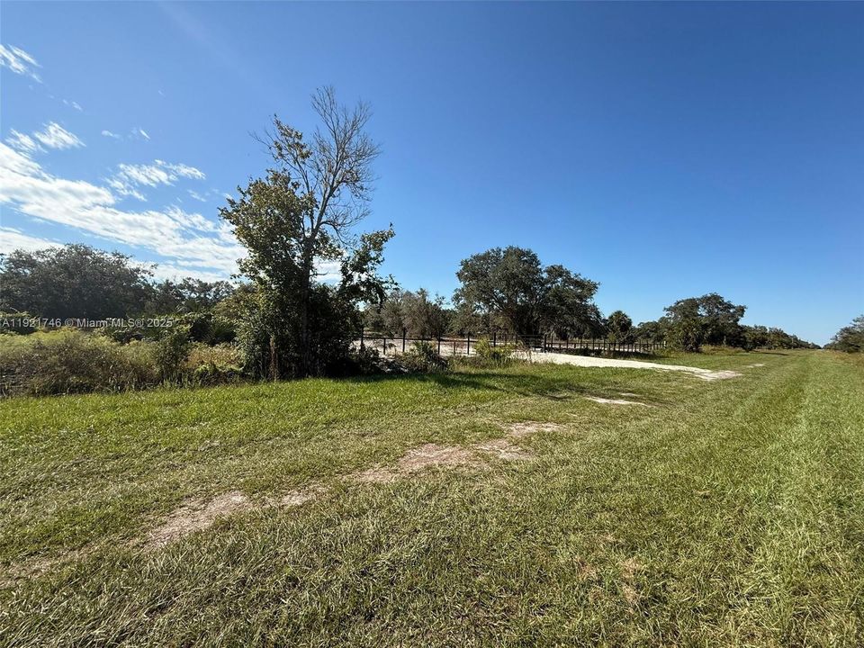 For Sale: $48,999 (1.25 acres)