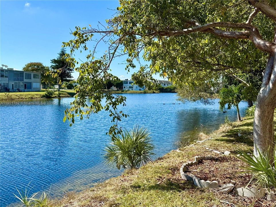 En Venta: $145,000 (1 camas, 1 baños, 775 Pies cuadrados)