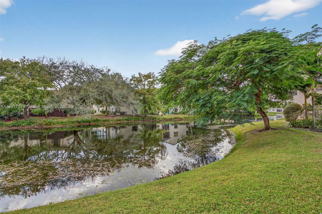 待售: $337,000 (3 贝兹, 2 浴室, 1115 平方英尺)