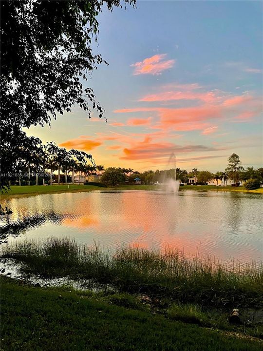 待售: $455,000 (3 贝兹, 2 浴室, 1456 平方英尺)