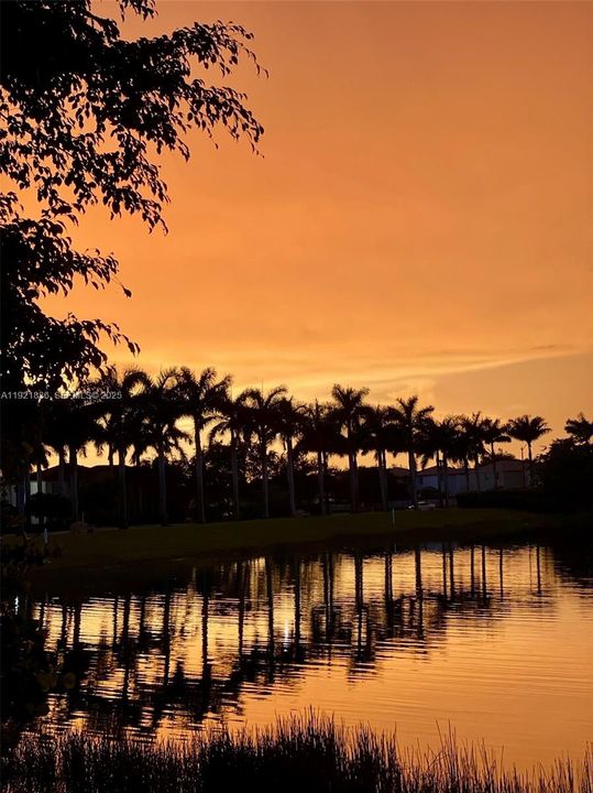 待售: $455,000 (3 贝兹, 2 浴室, 1456 平方英尺)