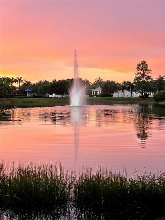 待售: $455,000 (3 贝兹, 2 浴室, 1456 平方英尺)