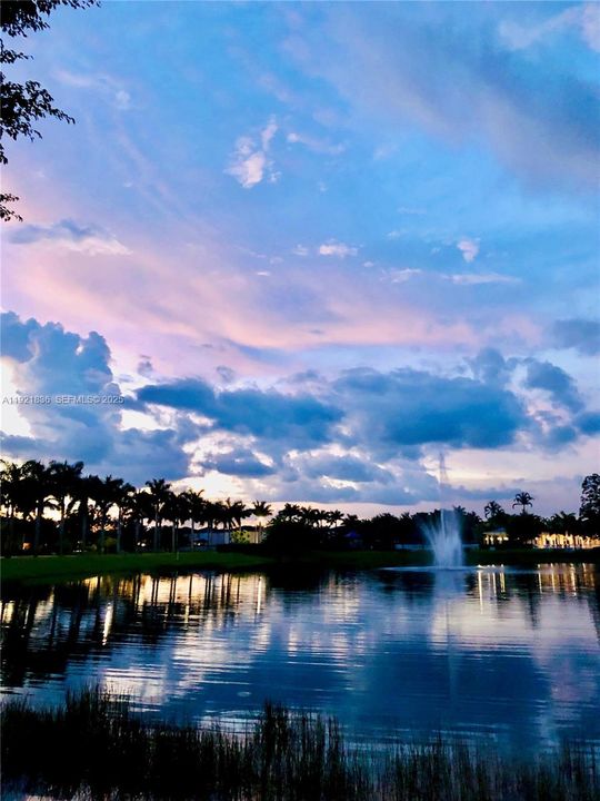 待售: $455,000 (3 贝兹, 2 浴室, 1456 平方英尺)