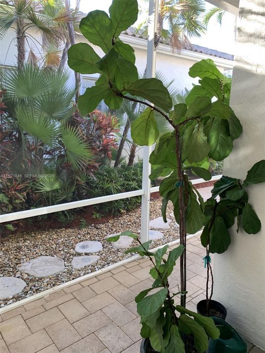 For Rent: $6,200 (3 beds, 3 baths, 2121 Square Feet)