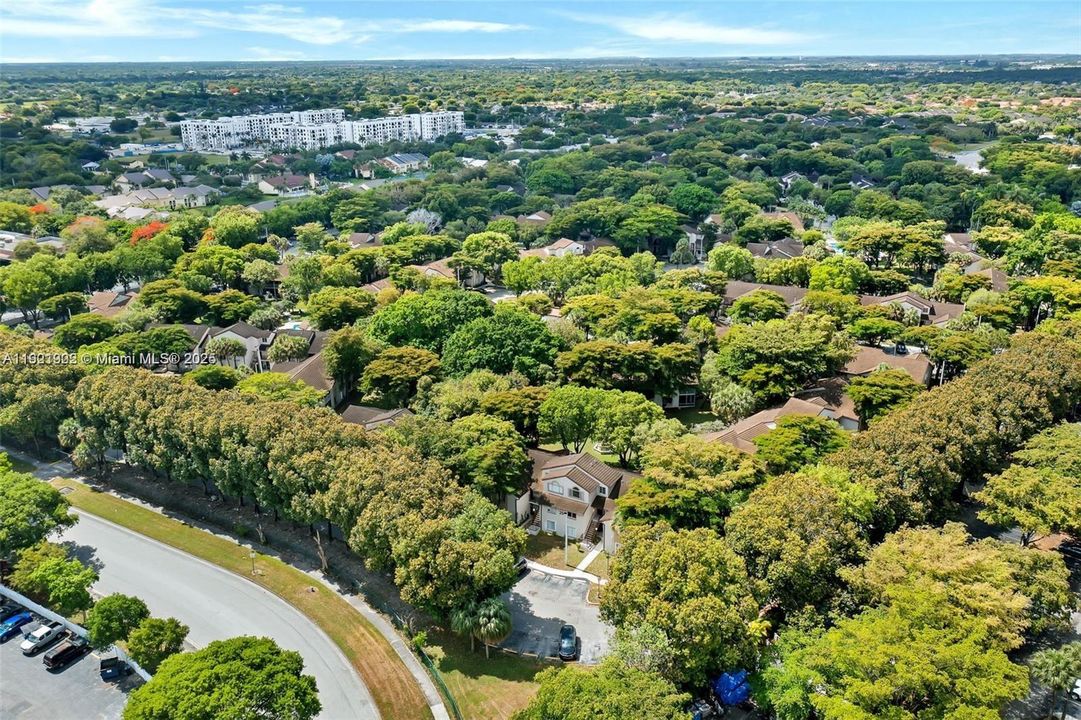 出租: $1,950 (1 贝兹, 1 浴室, 862 平方英尺)