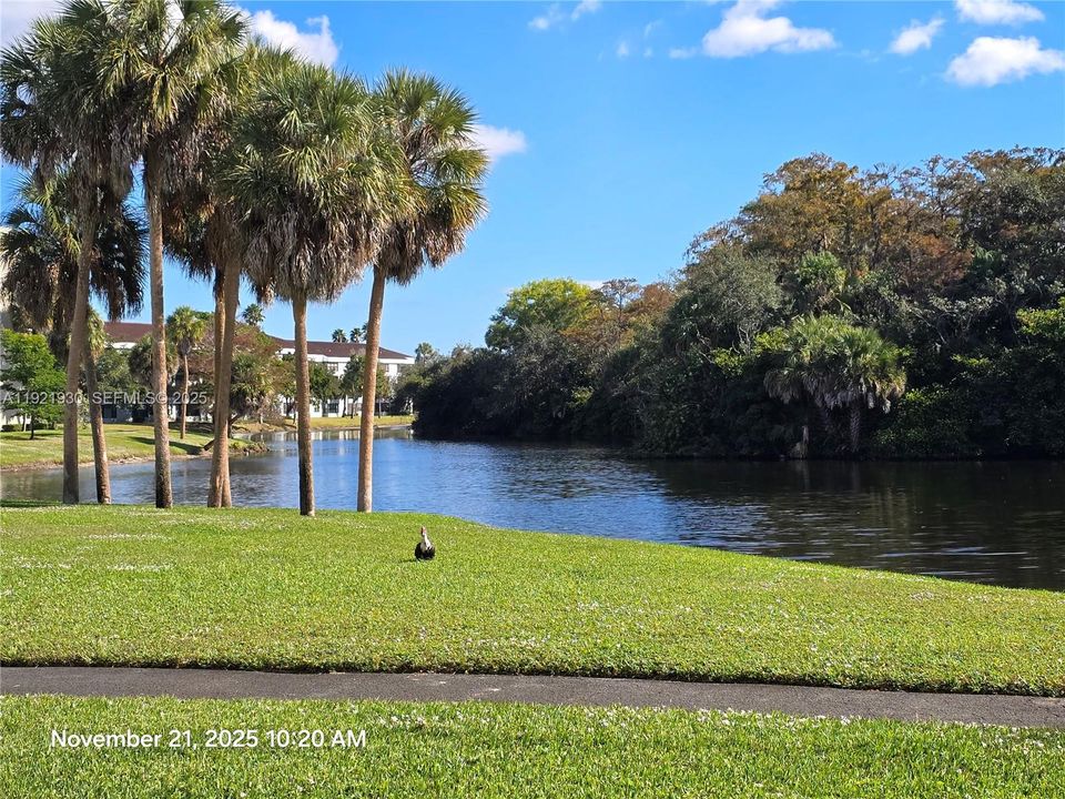 For Rent: $2,100 (2 beds, 2 baths, 970 Square Feet)