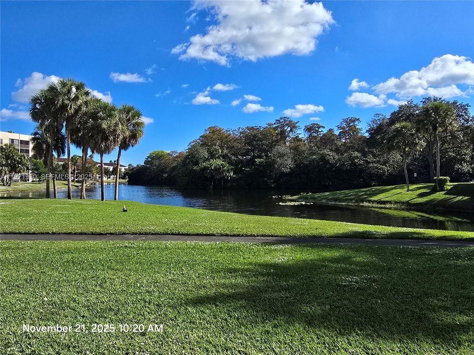 For Rent: $2,100 (2 beds, 2 baths, 970 Square Feet)