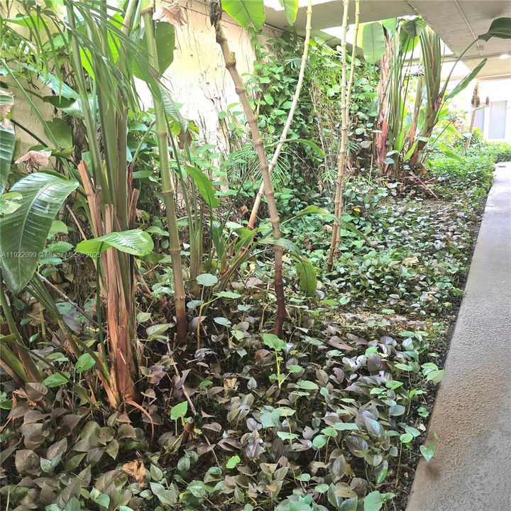 For Rent: $1,690 (1 beds, 1 baths, 575 Square Feet)