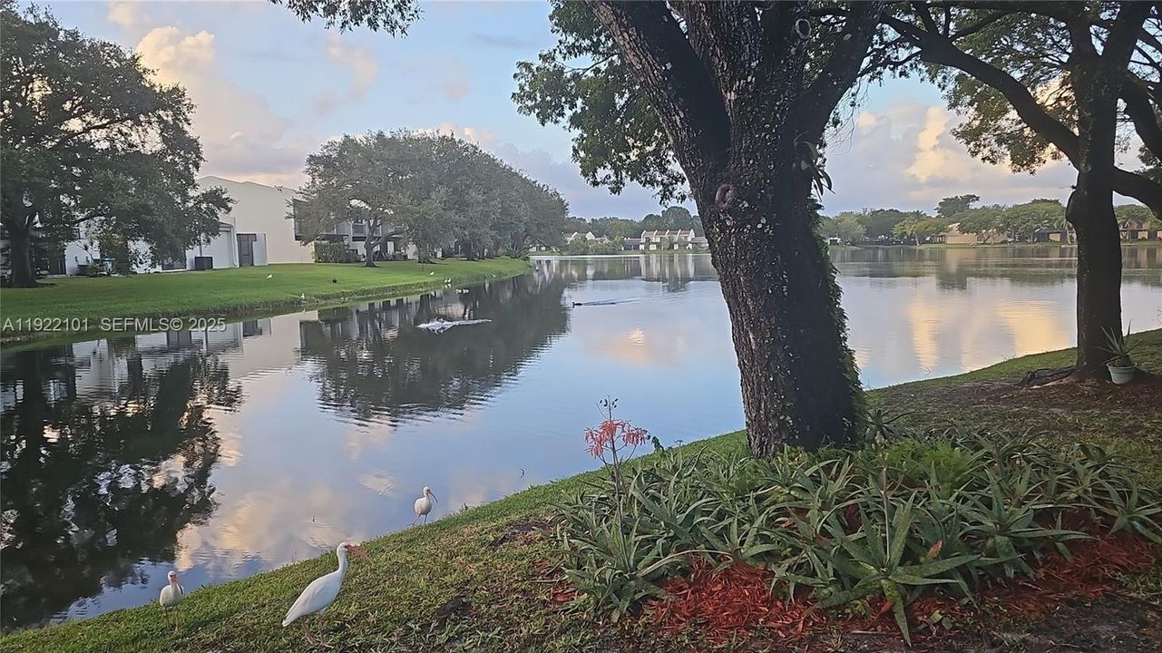 For Sale: $539,900 (3 beds, 2 baths, 1331 Square Feet)