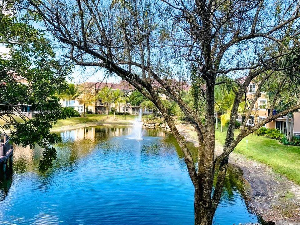 出租: $1,995 (2 贝兹, 2 浴室, 984 平方英尺)