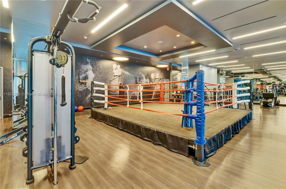 Boxing Ring