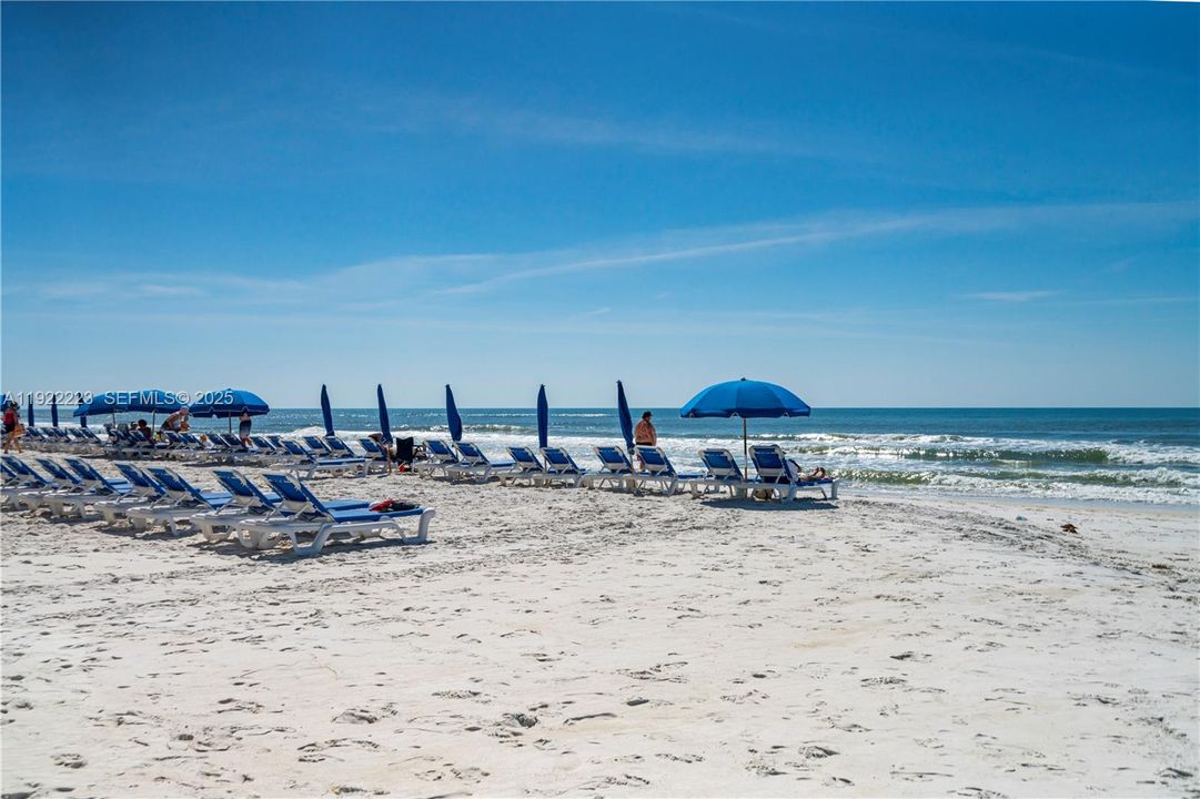 出租: $1,325 (0 贝兹, 1 浴室, 200 平方英尺)