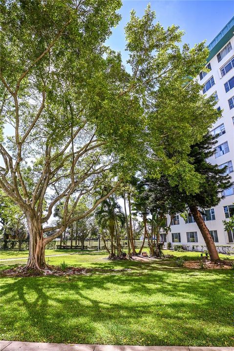 En Venta: $169,000 (1 camas, 1 baños, 844 Pies cuadrados)