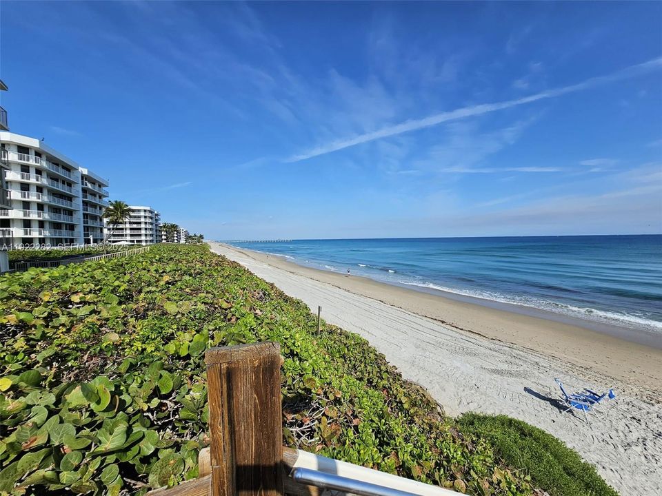 For Rent: $6,000 (3 beds, 3 baths, 1719 Square Feet)