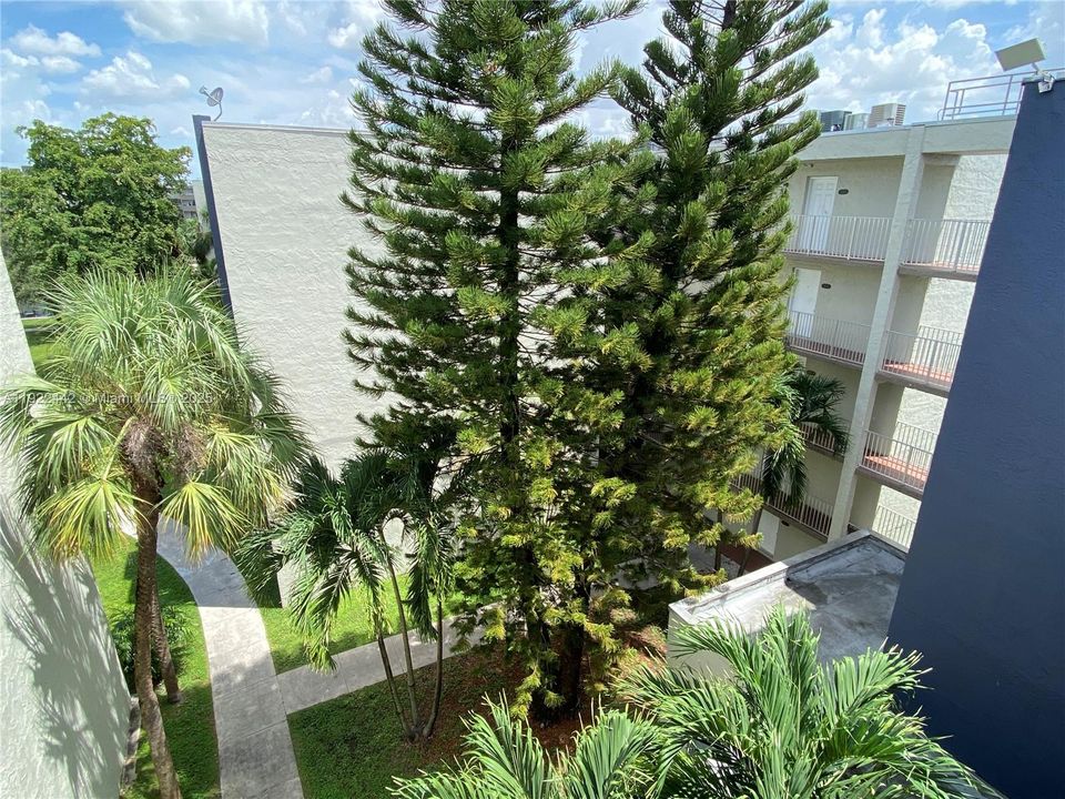 出租: $2,000 (2 贝兹, 2 浴室, 960 平方英尺)