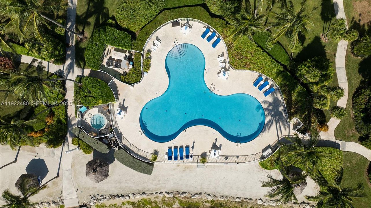Aerial view of the pool