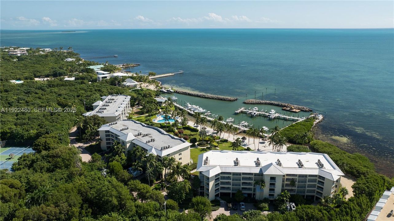 Ocean Harbour Condos, Islamorada FL