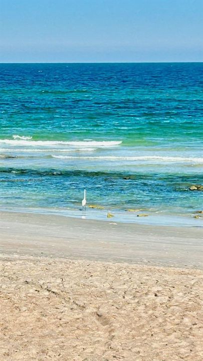 ENJOY THE BEACH , NO HIGH BUILDING , THERE IS PLENTY PARKING, AND BATHS