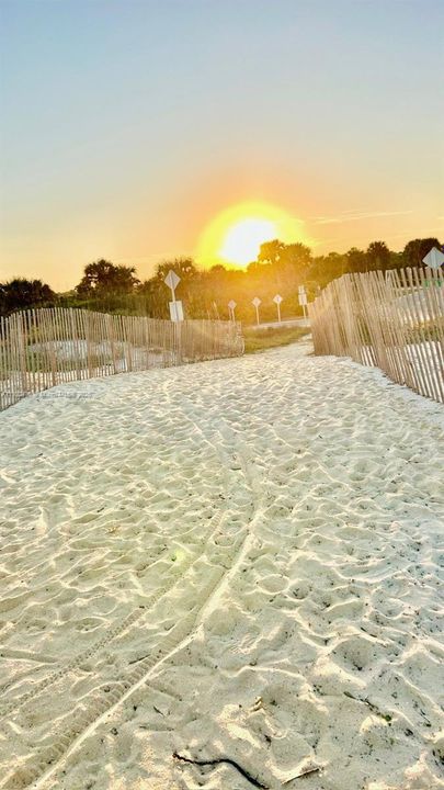 ENJOY THE SUN IN THE BEACH