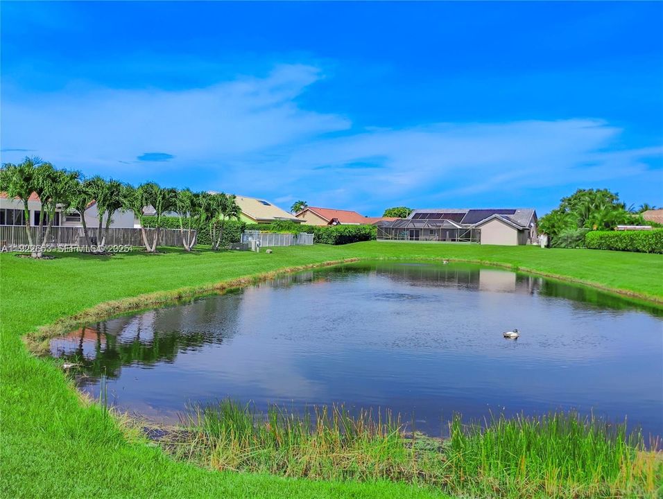 For Rent: $4,285 (4 beds, 2 baths, 2279 Square Feet)