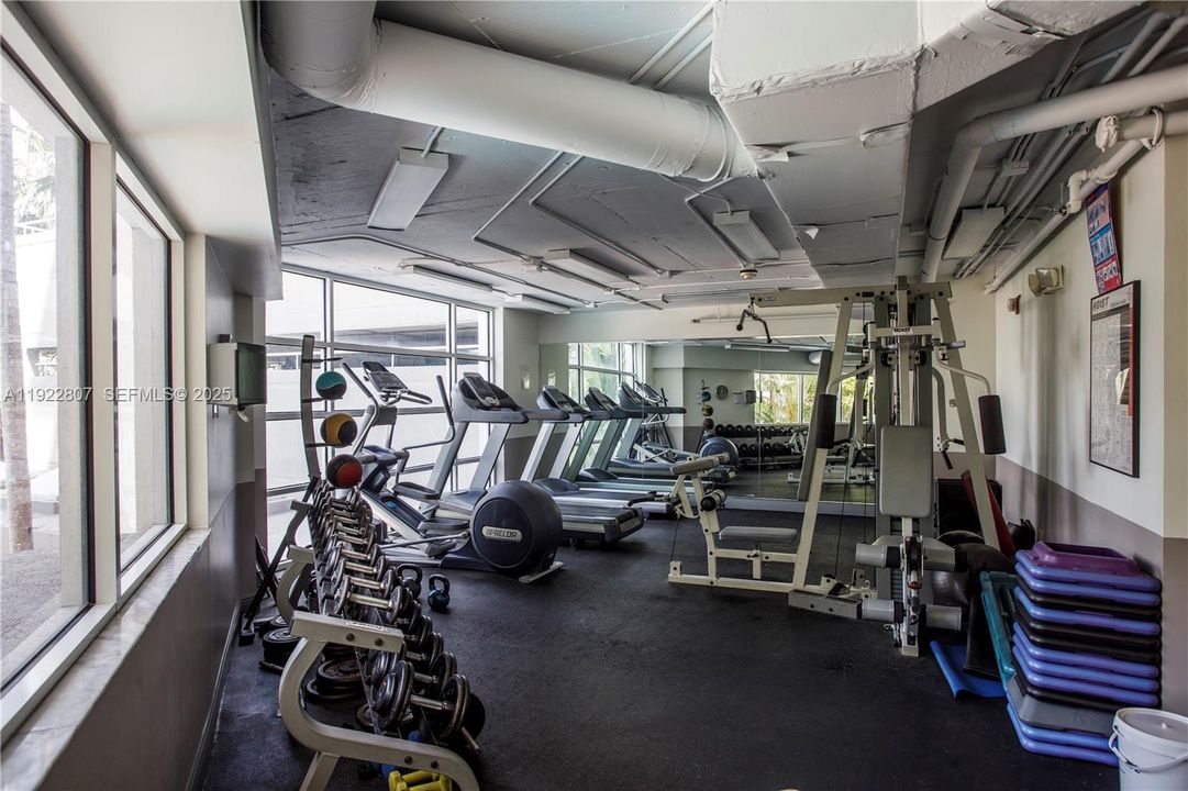 Fully equipped fitness center with cardio machines, strength-training equipment, and large windows for a bright workout environment.