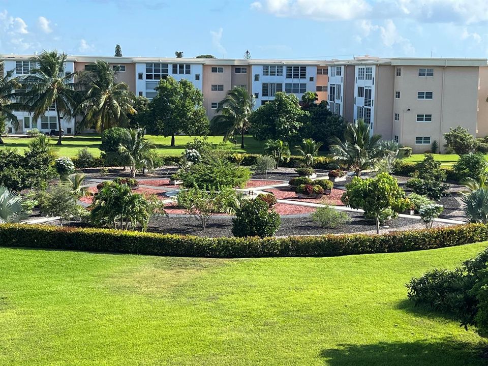 Garden area