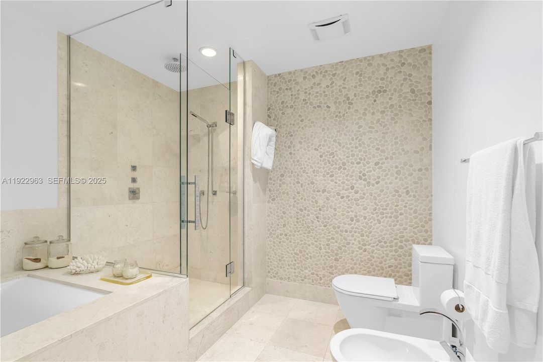 Separate shower and bathtub, bidet