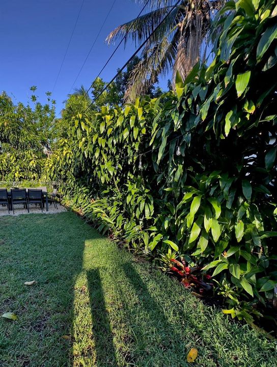 For Rent: $4,700 (4 beds, 2 baths, 1097 Square Feet)