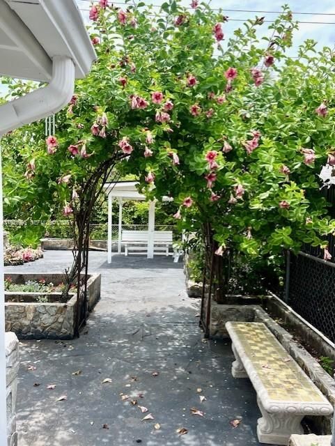 出租: $3,000 (2 贝兹, 1 浴室, 854 平方英尺)