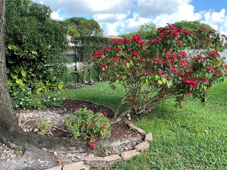 待售: $535,000 (3 贝兹, 2 浴室, 1492 平方英尺)